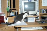 20031230_Kitty Kat_047